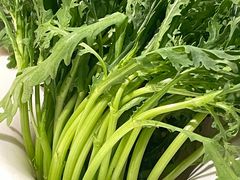 -烹然四季椰子鸡火锅(姚家园万象汇店)