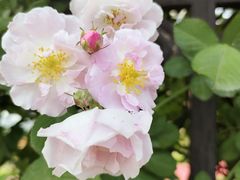 -长兴菜馆(高桥店)