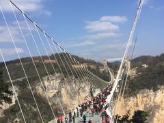 -印象鲵宴·张家界地标美食名片(溪布街店)