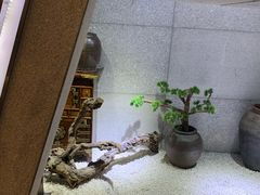 -纽斯桑拿会所(天山店)