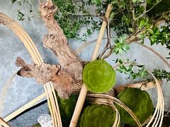 -潇湘楼·二十四节气山野菜(亚运村店)