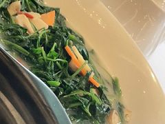 上汤辣椒叶-朱仔记食府(江南大道店)