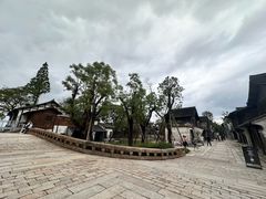 -观潮胜地公园