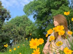 -铁山坪森林公园