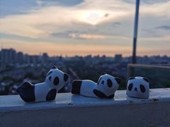 -烛影拾光观景餐厅·创意菜·摄影·小提琴(大唐不夜城店)