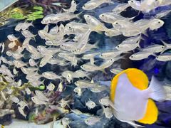 -上海海洋水族馆