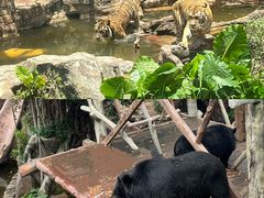 -长鹿旅游休博园