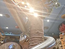 -卡通尼·Safari非洲探索乐园·生日会(金桥国际商业广场店)