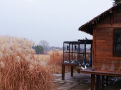 -良渚古城遗址公园