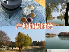 -贡湖湾湿地公园