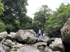 -海南热带雨林国家公园吊罗山景区