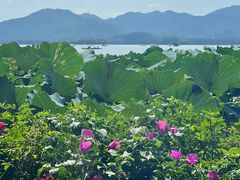 -湖畔居茶楼(湖滨店)