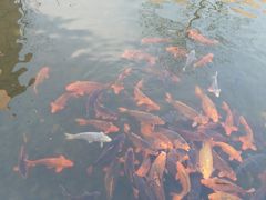 -杭州电子科技大学(下沙校区)