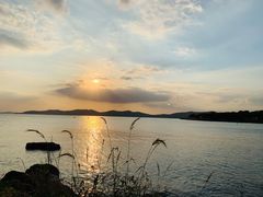 -上海市保健医疗中心