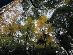 -成都市文殊院