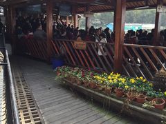 -天目湖山水园