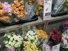 -鹿岛生活(熙地港店)