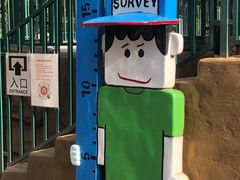 -朝阳公园游乐园