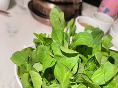-初蓉丨遇见新川菜(亲贤街荣耀店)