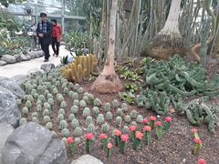 -南山植物园