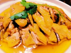 干蒸河田鸡-新悦·霞浦海鲜生(上下杭店)