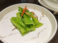 -甄御•海鲜新青岛菜(麦岛店)