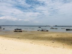 -北海金海湾红树林生态旅游区