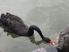 -上海怡沁园度假酒店
