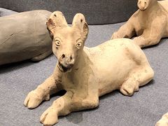 -广西壮族自治区博物馆