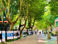 -西安电影制片厂