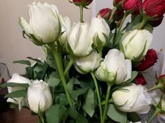 -Wagas沃歌斯(星荟中心店)