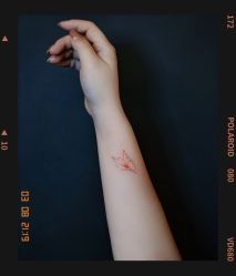 -越域刺青