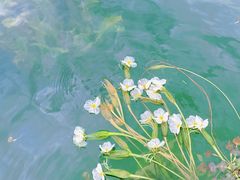 -丽江泸沽湖景区