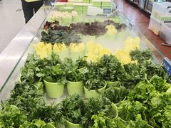 -万达广场(宁德蕉城店)