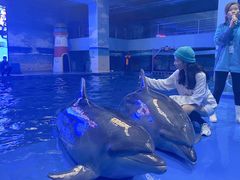 -锦艺城海洋馆