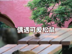 -天坛公园