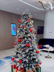 -深圳米兰柏羽医疗美容医院