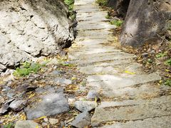 -云岫谷游猎自然风景区