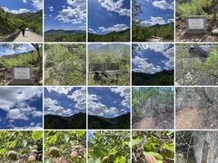 -鹫峰国家森林公园