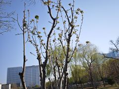 -西海子公园