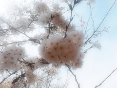 -南京航空航天大学(将军路校区)