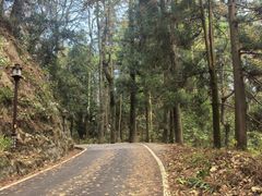 -南岳衡山风景名胜区