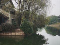 -绍兴镜湖国家城市湿地公园