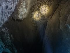 -地心探险极地