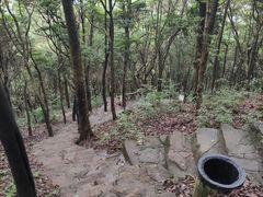 -梧桐山风景名胜区