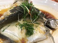 清蒸边鱼-湾仔渔村(高明店)