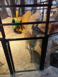 -酷嗒动物文化乐园(cutezoo西溪乐天城店)