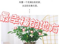 -九木杂物社(东方新天地店)