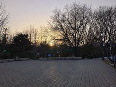 -玲珑塔公园