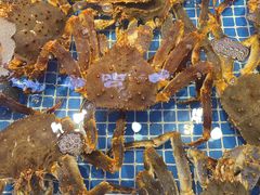 -驻海渔市(置信店)